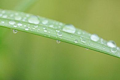 《真女神转生5》恶魔介绍：曾被目击的不明生物天蛾人